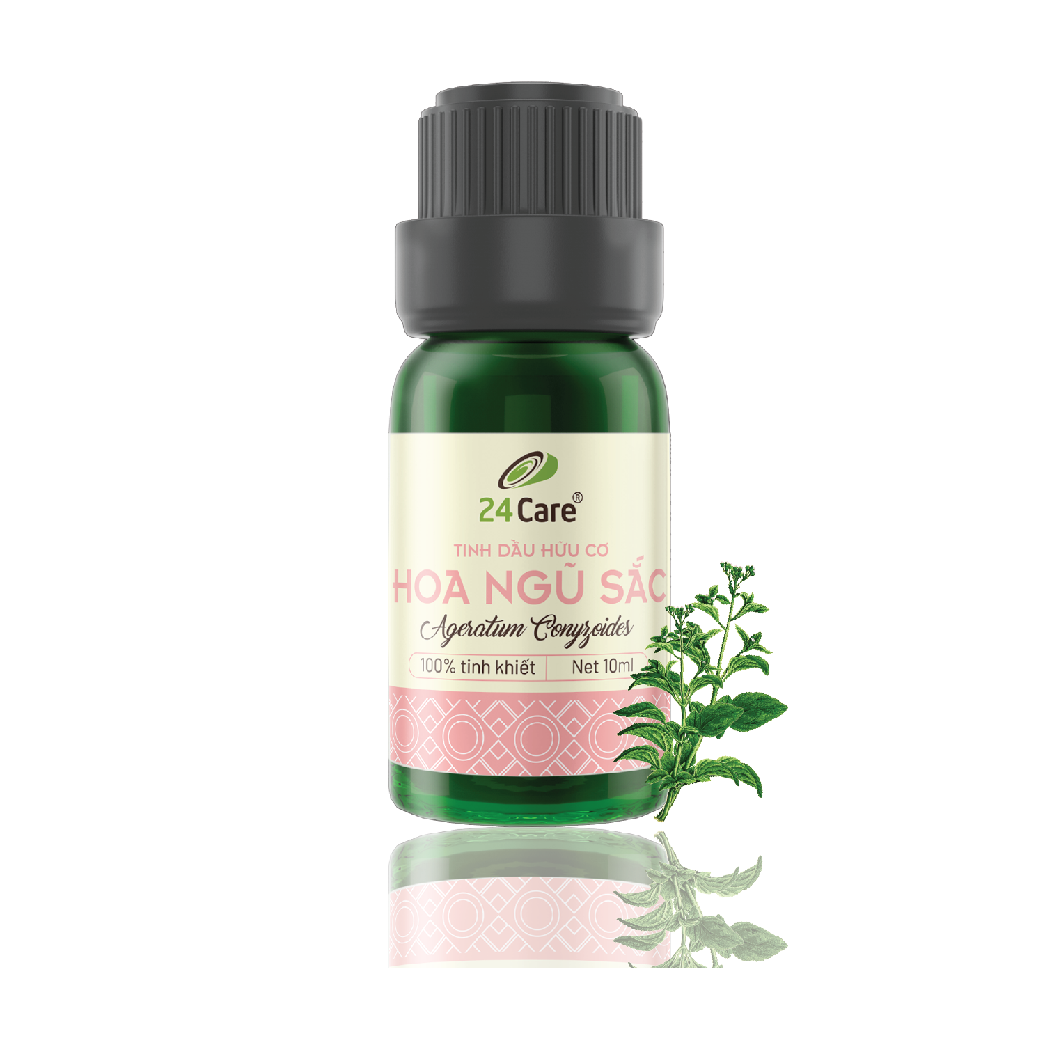 Donald and Dolphin Properties Five-Color Flower Essential Oil