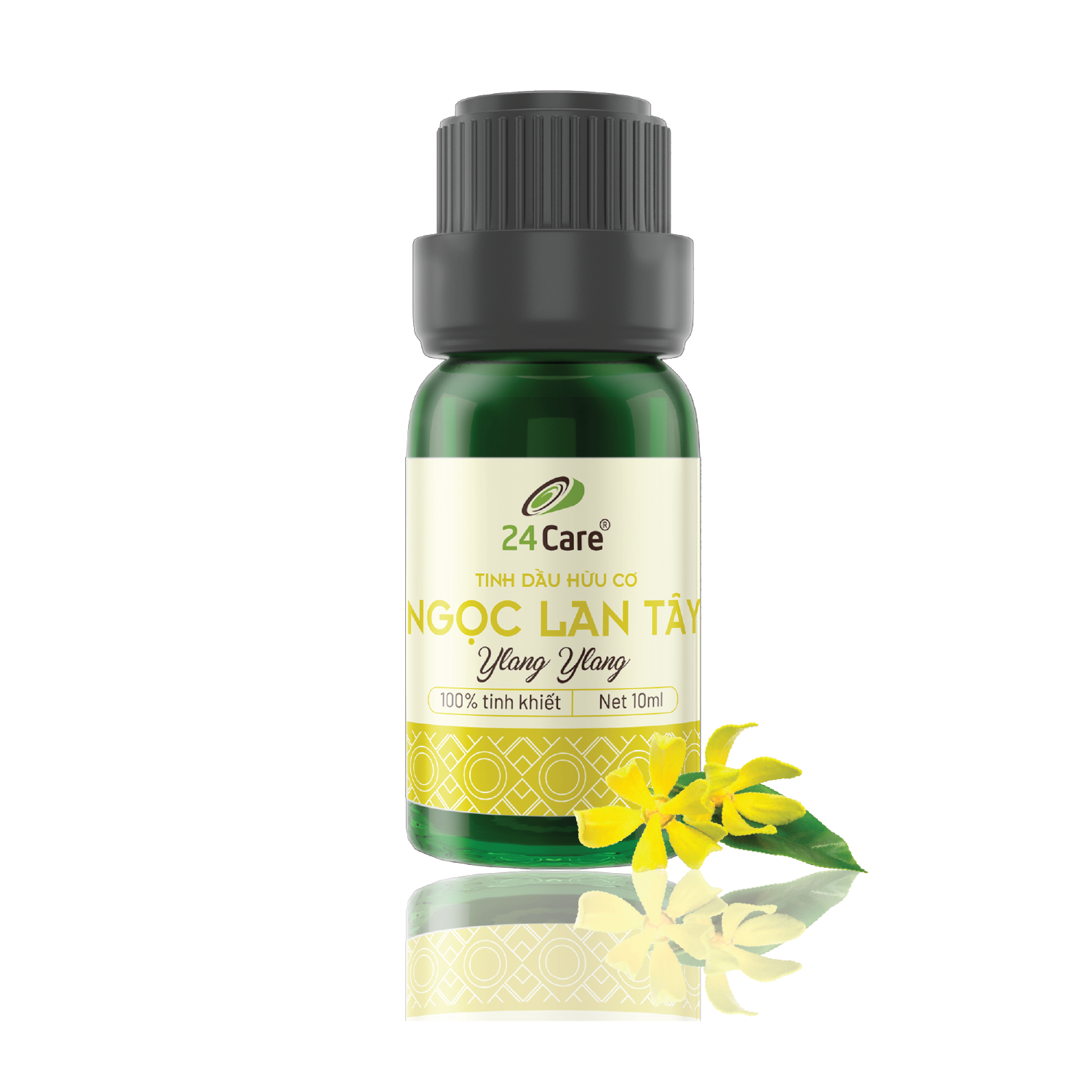 Donald and Dolphin Properties Magnolia Essential Oil