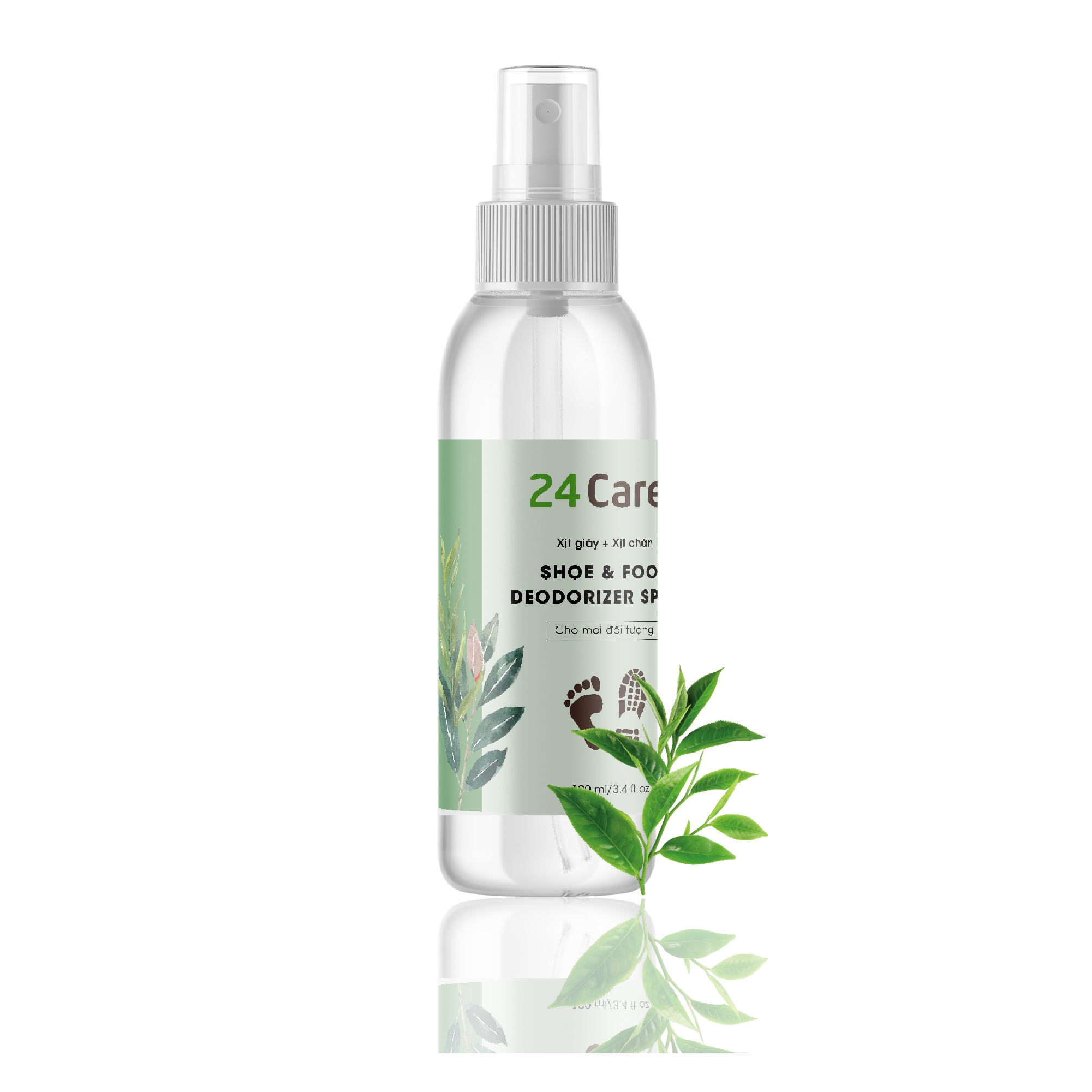 Donald and Dolphin Properties Herbal Extract Shoe Deodorizing and Antibacterial Spray